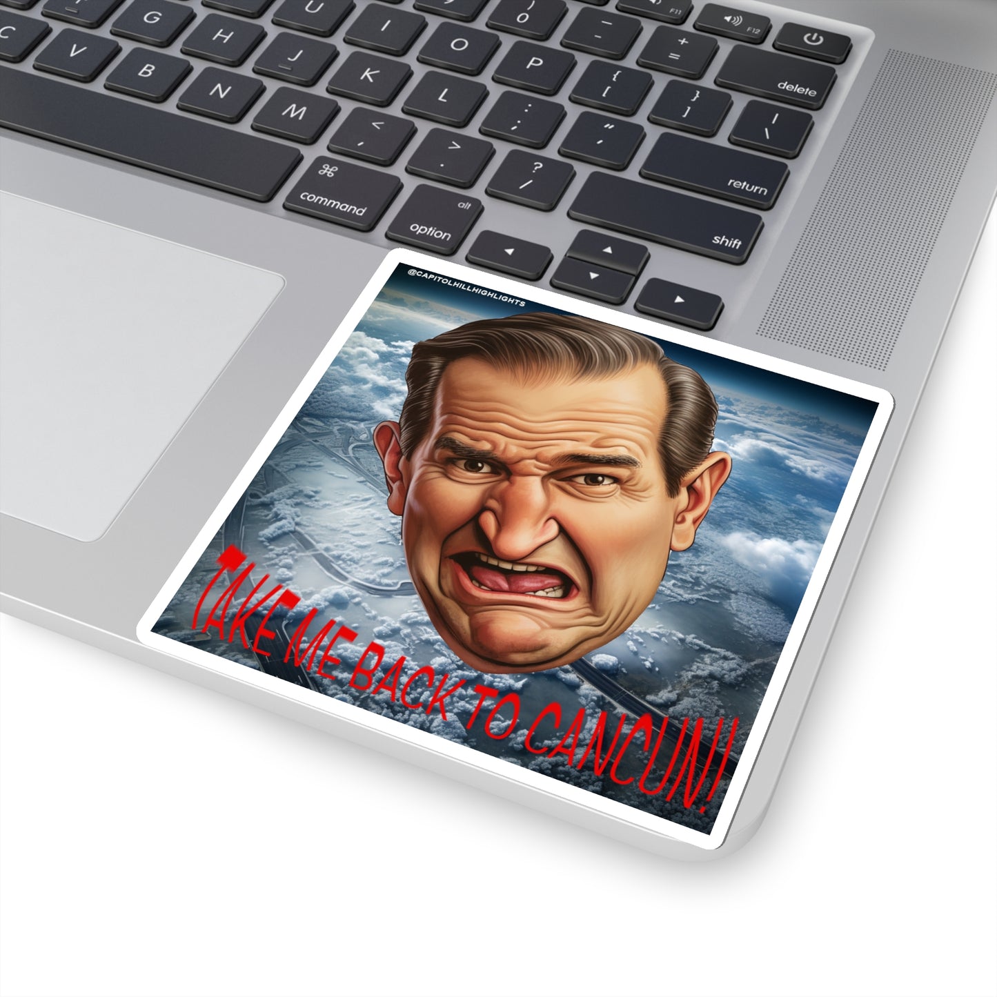 Angry Cruz "Take me back to Cancun" Stickers