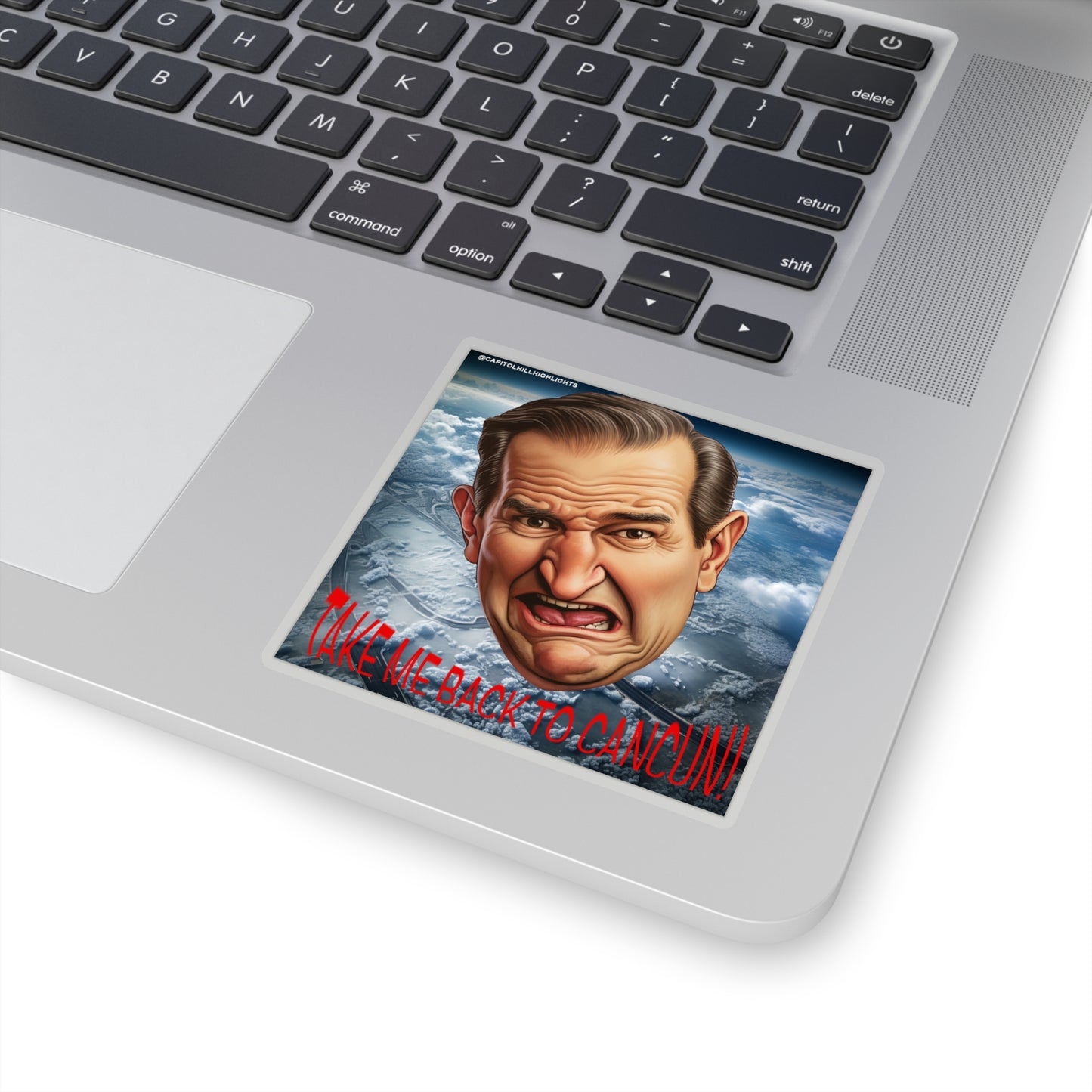 Angry Cruz "Take me back to Cancun" Stickers