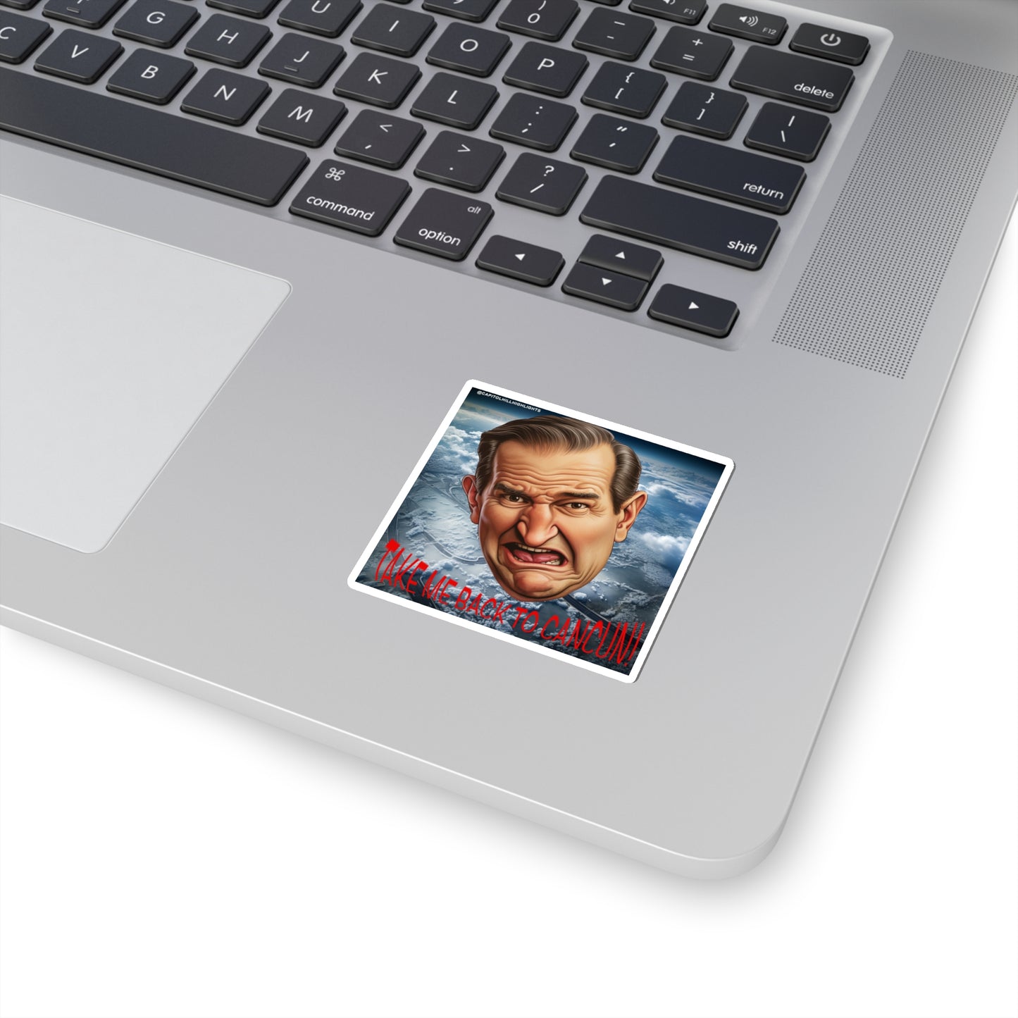 Angry Cruz "Take me back to Cancun" Stickers