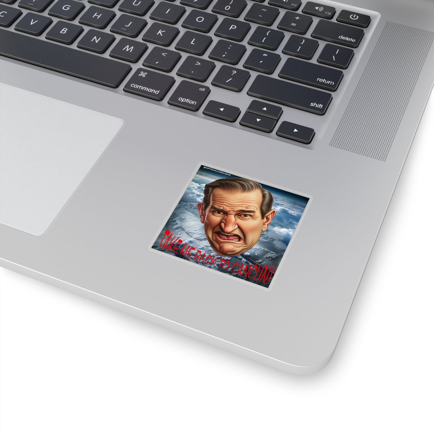 Angry Cruz "Take me back to Cancun" Stickers